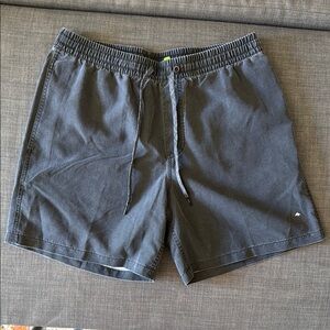 Quicksilver Surfwash Gray Drawstring Shorts